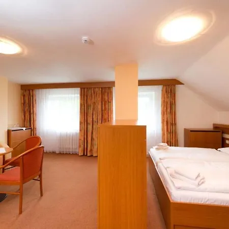호텔 Hotel Svratka