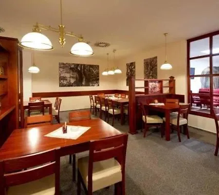 Hotel Svratka 酒店