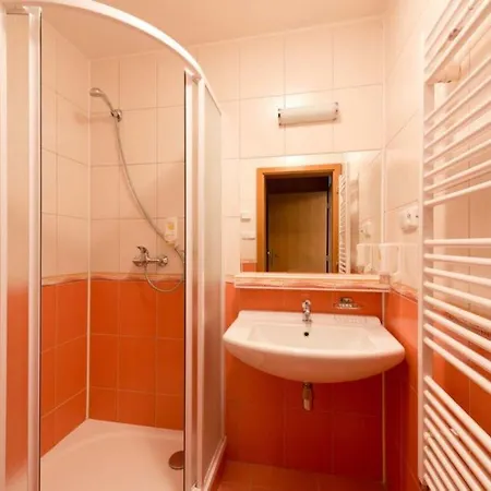 Hotel Svratka 3* Svratka