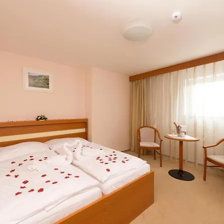 Hotel Hotel Svratka
