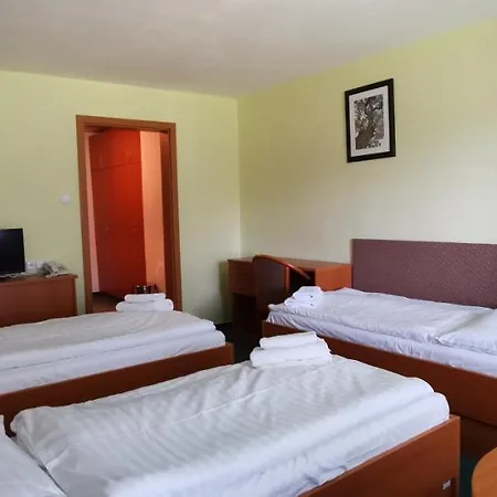 Hotel Hotel Svratka 3*