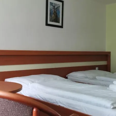 Hotel Hotel Svratka
