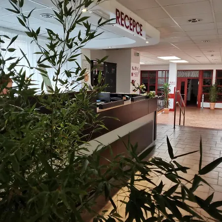 Hotel Svratka 3*