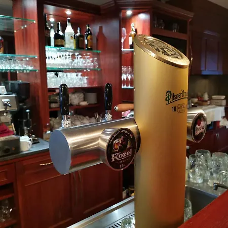 Hotel Svratka 호텔 3*