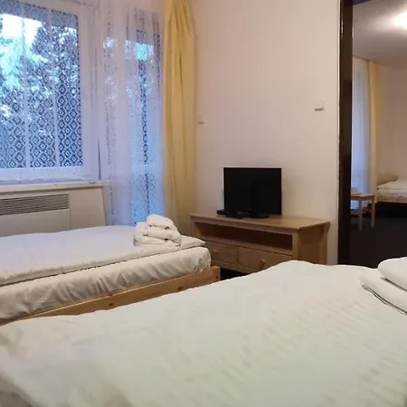 酒店 Hotel Svratka Svratka