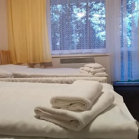 酒店 Hotel Svratka 3*