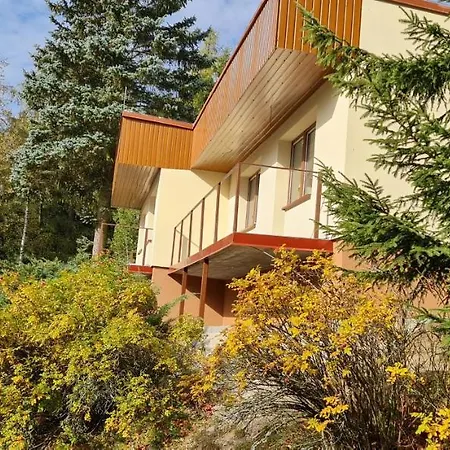 Hotel Svratka 3* Svratka