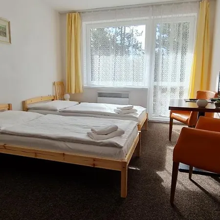 Hotel Svratka Hotel 3*