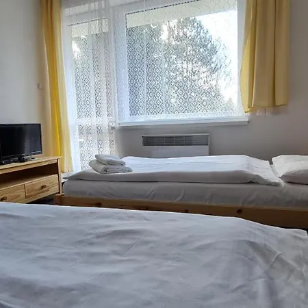 Hotel Svratka Hotel