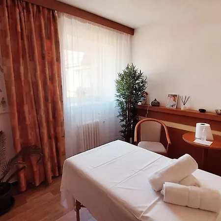 Hotel Svratka 3* Svratka