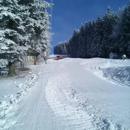 Hotel Svratka 3* Svratka