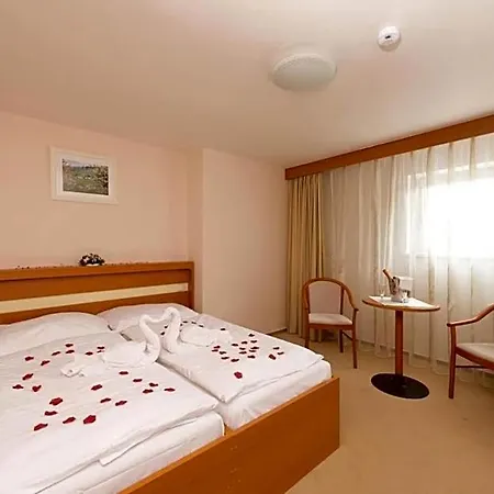 Hotel Hotel Svratka 3*