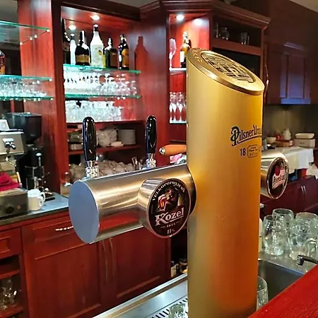 Hotel Svratka Hotel 3*