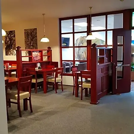 Hotel Svratka Hotel 3*