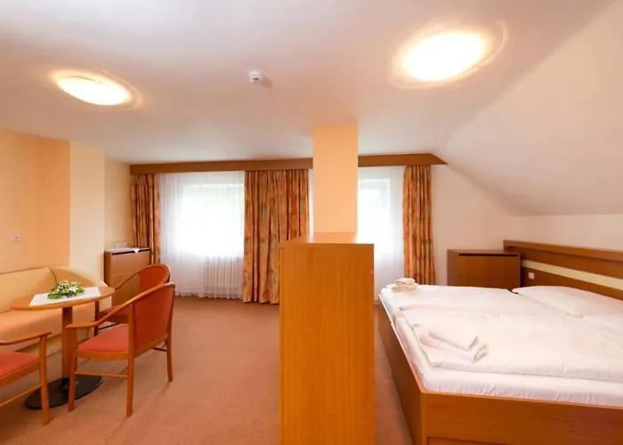 호텔 Hotel Svratka