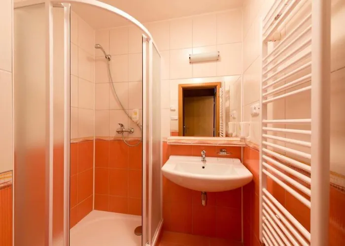 Hotel Svratka 3* 스브라드카