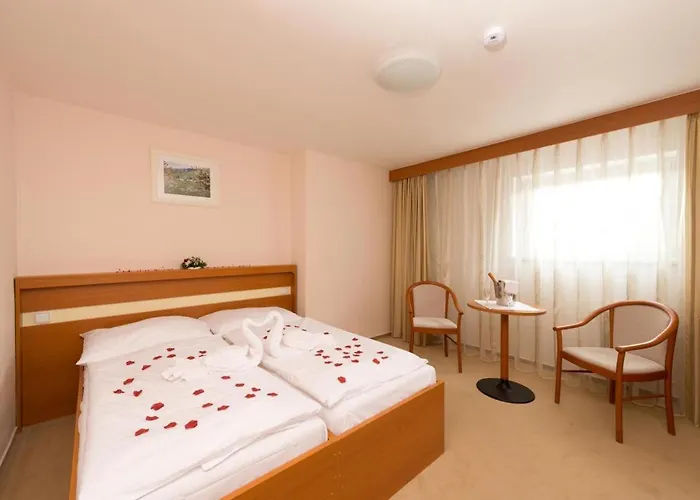 호텔 Hotel Svratka