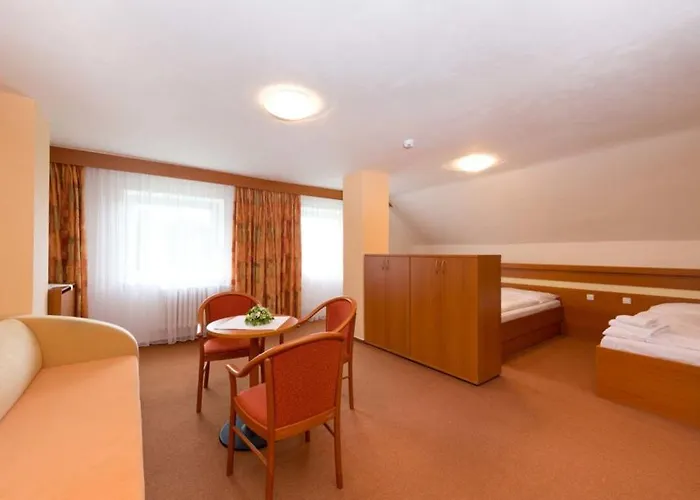 호텔 Hotel Svratka 스브라드카