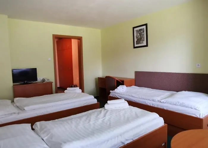 호텔 Hotel Svratka 3*