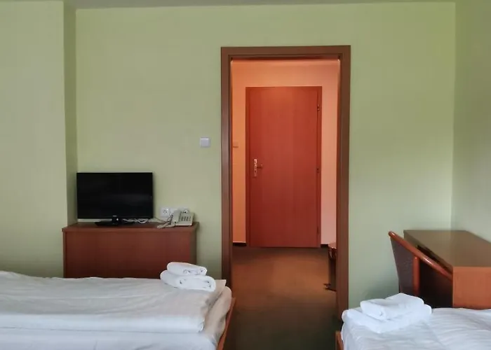 Hotel Svratka 호텔