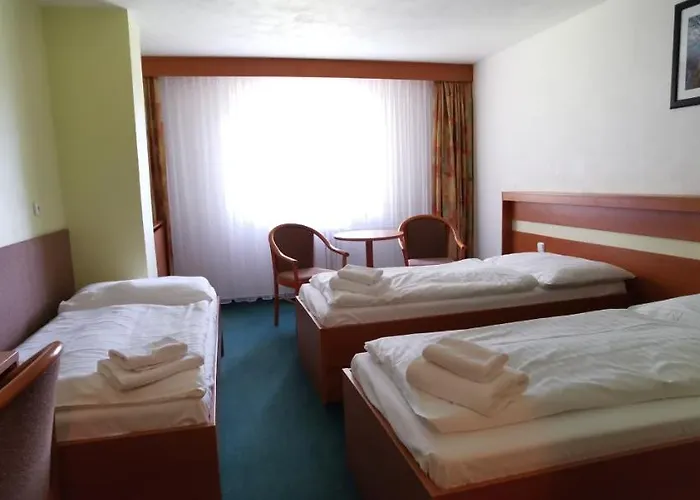 Hotel Svratka 3* 스브라드카