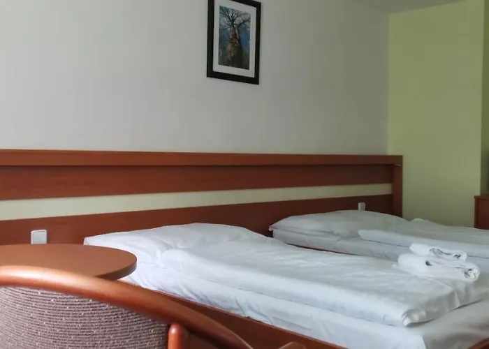 호텔 Hotel Svratka