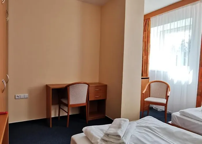 호텔 Hotel Svratka