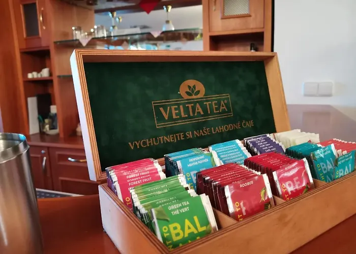 Hotel Svratka 3* 스브라드카