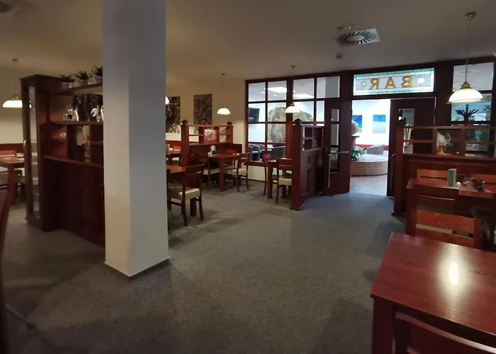 Hotel Svratka 3* 스브라드카