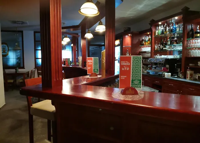 Hotel Svratka 호텔