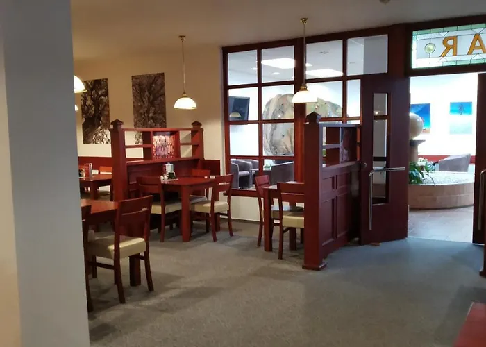 호텔 Hotel Svratka