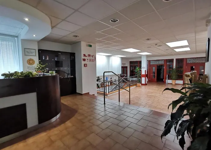 Hotel Svratka 호텔 3*