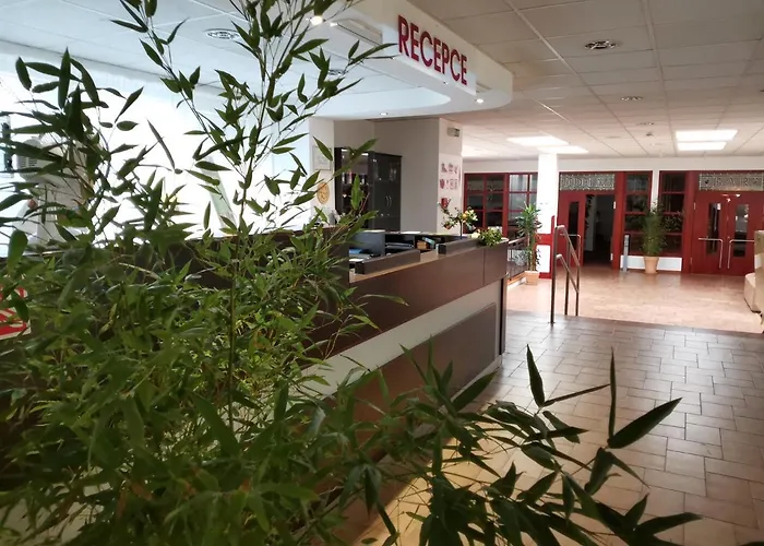 Hotel Svratka 스브라드카