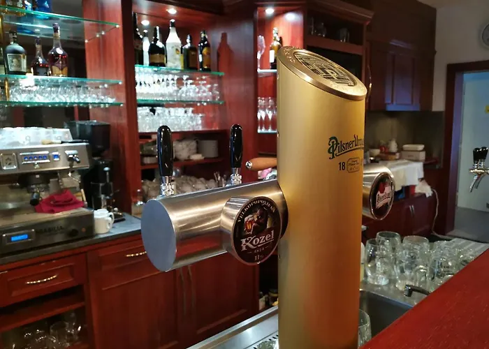 Hotel Svratka 호텔 3*
