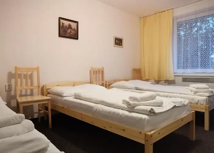호텔 Hotel Svratka