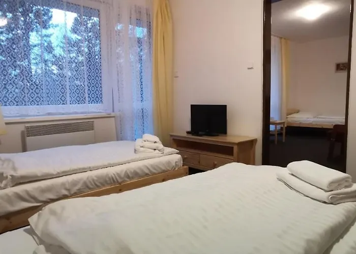 호텔 Hotel Svratka 스브라드카