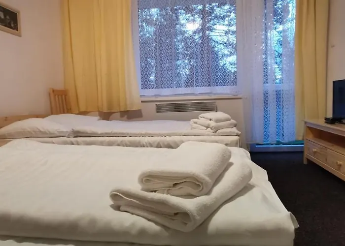 호텔 Hotel Svratka 3*