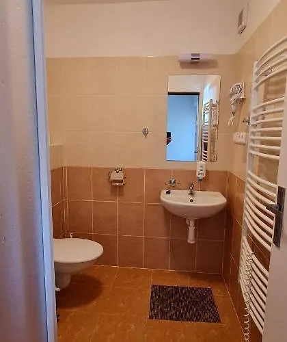 호텔 Hotel Svratka 3*