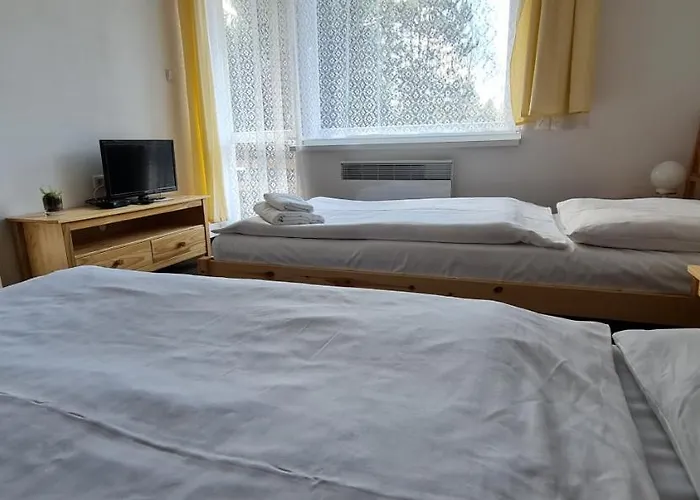 호텔 Hotel Svratka
