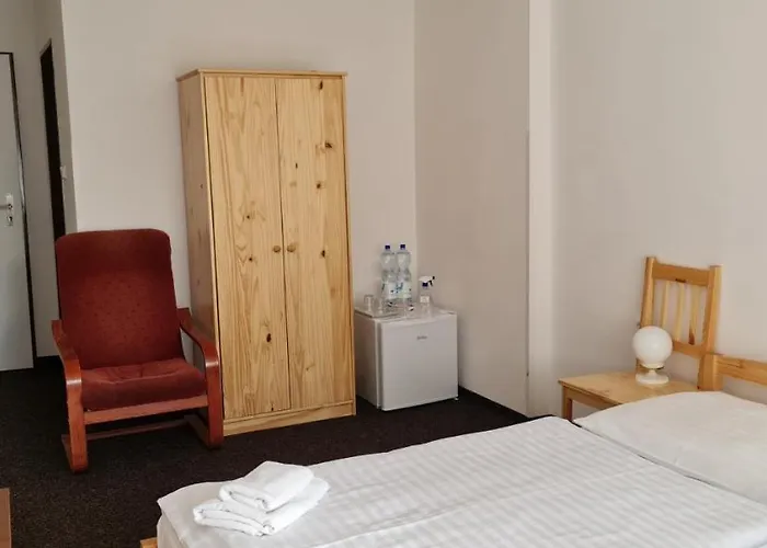 Hotel Svratka 호텔 3*