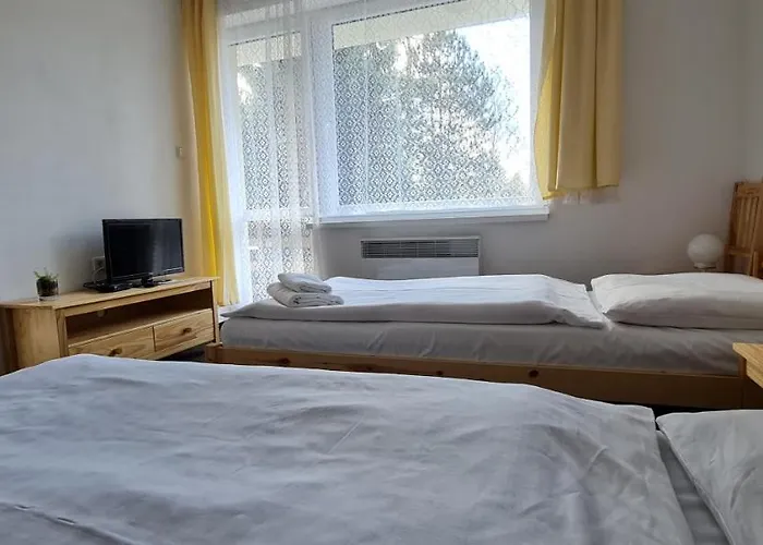 Hotel Svratka 호텔