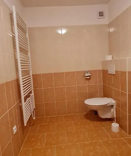 호텔 Hotel Svratka 3*