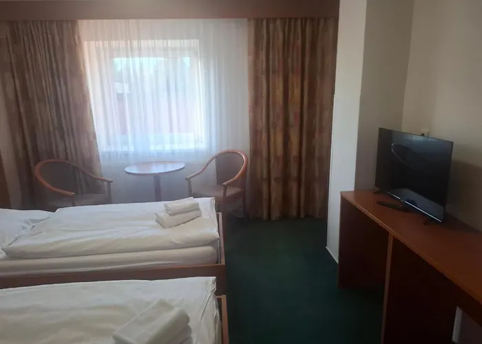 호텔 Hotel Svratka 3*